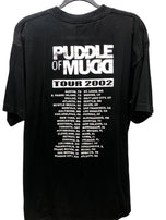 Puddle Of Mudd Tour 2002