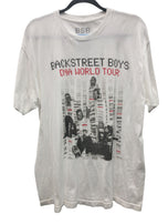 Backstreet Boys. DNA World Tour