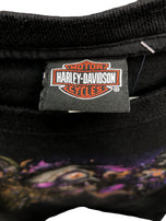 2018 Harley Davidson. New Orleans, Louisiana