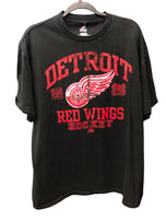 Detroit Red Wings Hockey