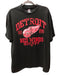 Detroit Red Wings Hockey