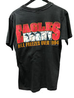 Eagles. Hell Freezes Over 1994 World Tour.