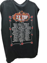 ZZ Top Tour 2014