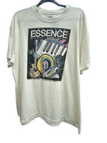 The 1996 Essence Music Festival