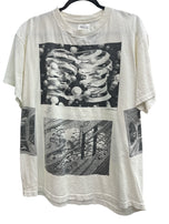 1991 M.C Escher