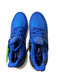 adidas UltraBoost 2.0 Collegiate Blue