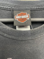 2008 Harley Davidson Motor Cycles Group Therapy