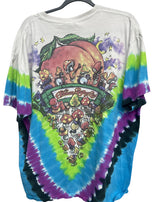 The ALLMAN Brothers Band