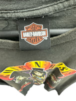 Guns N Roses - Harley Davidson collaboration