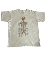 Anatomical Chart