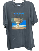 2001 Bon Jovi One Wild Night World Tour