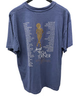 Tina Turner Wildest Dreams Tour