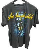 Stone Temple Pilots