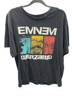 2013 Eminem