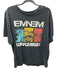 2013 Eminem