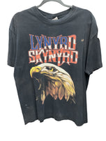 2008 Lynyrd Skynyrd