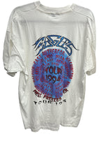 Eagles Tour 1994 When Hell Freezes Over