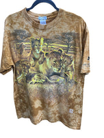 2000 The Lion Habitat